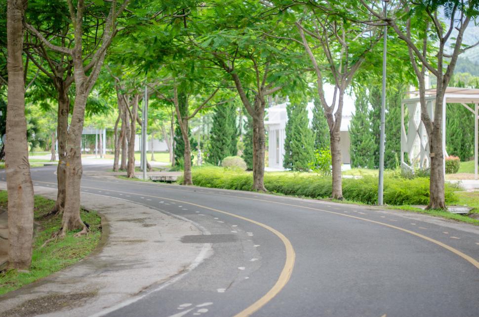 Free Image of Green Road  
