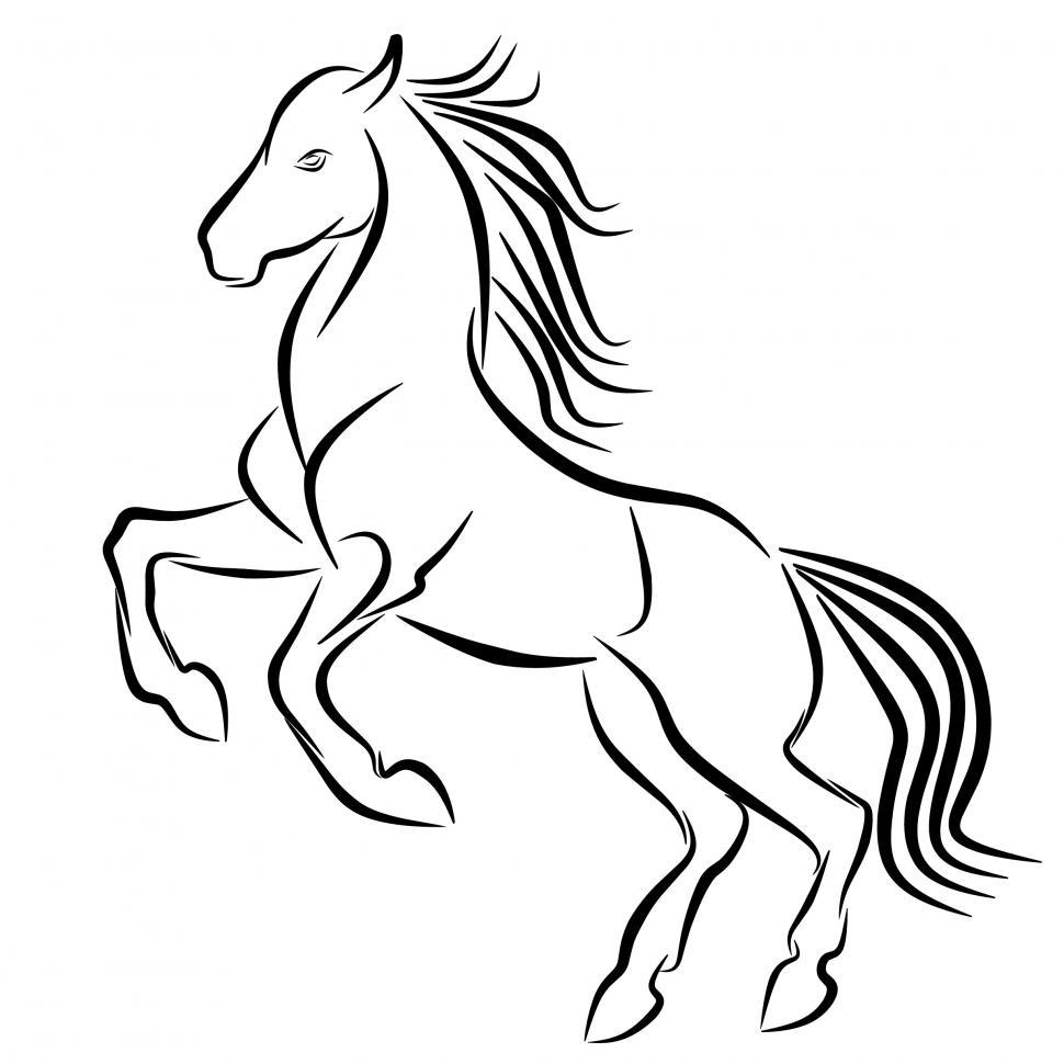 Horse Tattoo Vector Art, Icons, and Graphics for Free Download