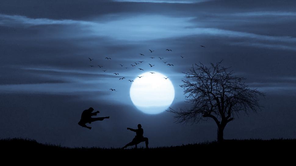 Free Image of kungfu combat  