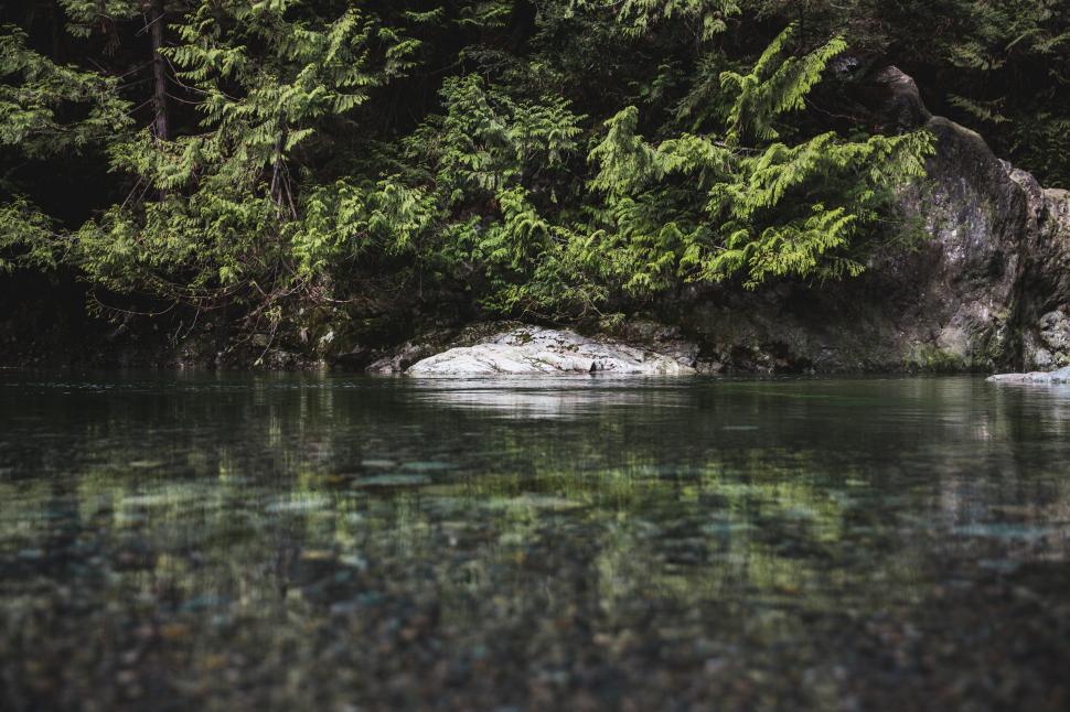 Free Stock Photo of Reflection of rocks and trees in clear water