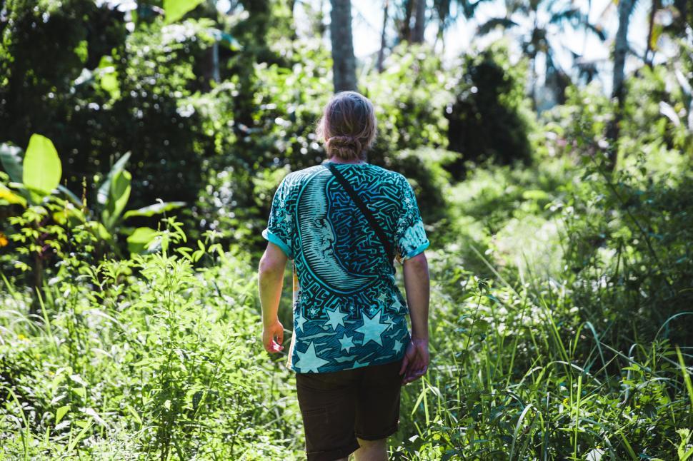 Free Image of A hiker walking in the forest 