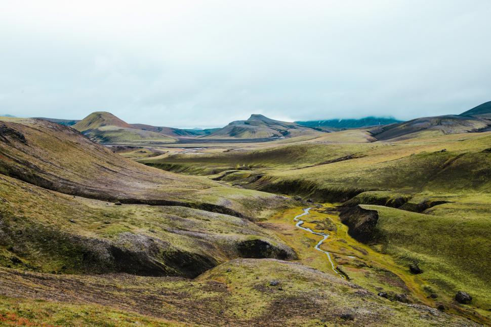 Free Stock Photo of Meadows in summer Iceland | Download Free Images ...