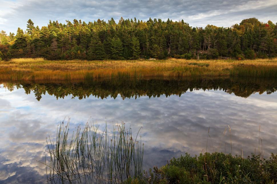 Free Image of Autumn reflections 