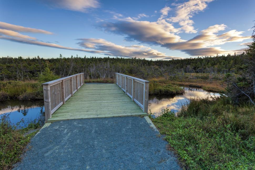 Free Stock Photo of Bridge over small river | Download Free Images and ...