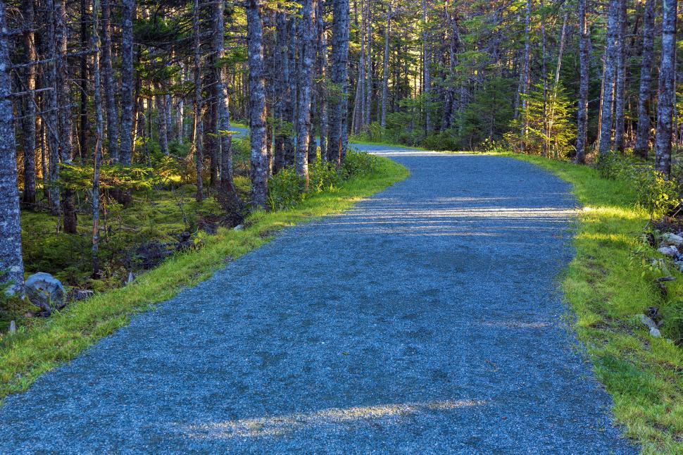 Free Stock Photo of Hiking trail | Download Free Images and Free ...