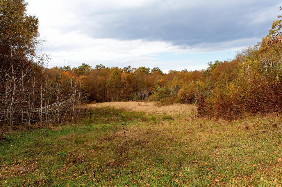 Free Image of Autumn landscape  