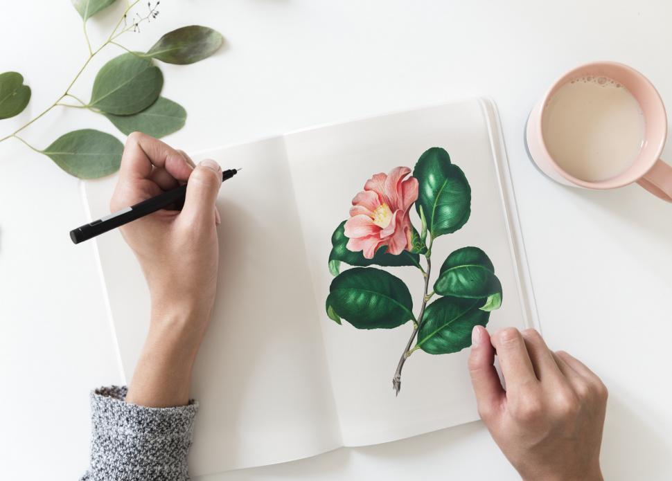 Free Image of Overhead view of a hand writing on a picture book 