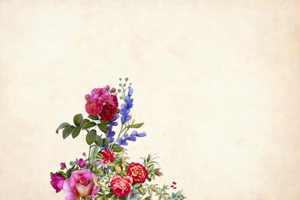 Free Stock Photo of light flower background