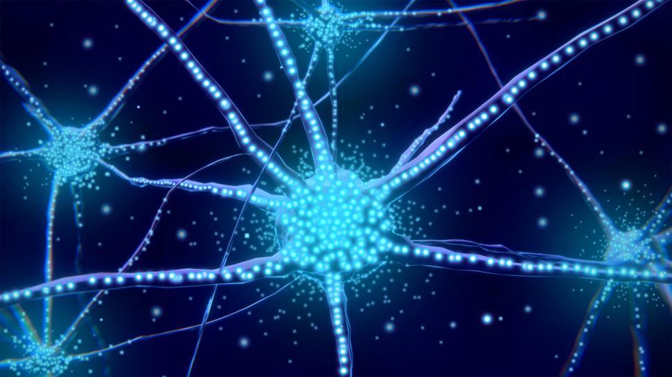Free Image of Neurons and Neurotransmitters  