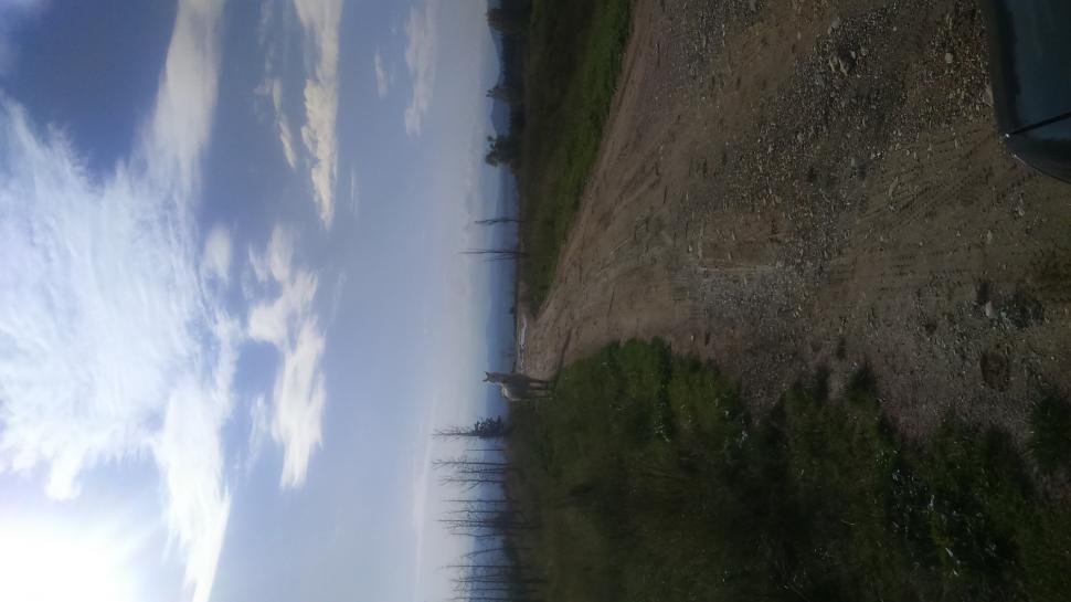 Free Image of nature  