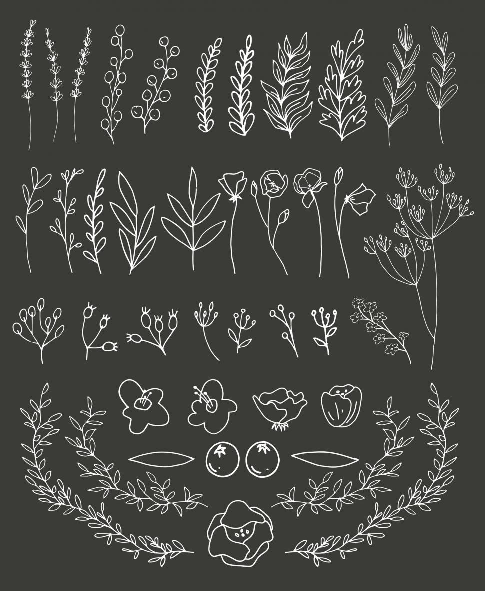 Collection Of Different Types Of Flowers Royalty Free SVG, Cliparts,  Vectors, and Stock Illustration. Image 38120315.