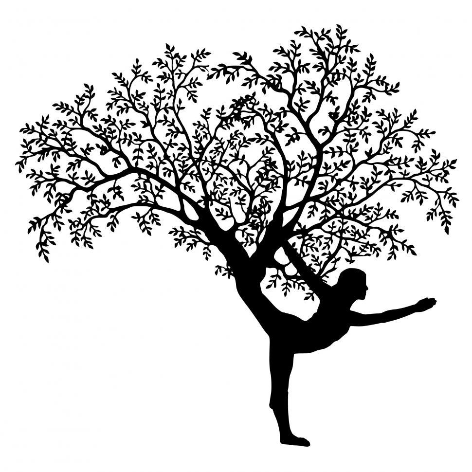 Free Stock Photo of yoga tree  Download Free Images and Free Illustrations