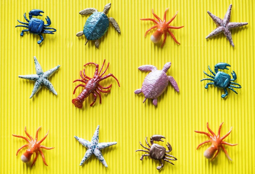 Free Stock Photo of Flat lay of toy sea animals on yellow surface |  Download Free Images and Free Illustrations