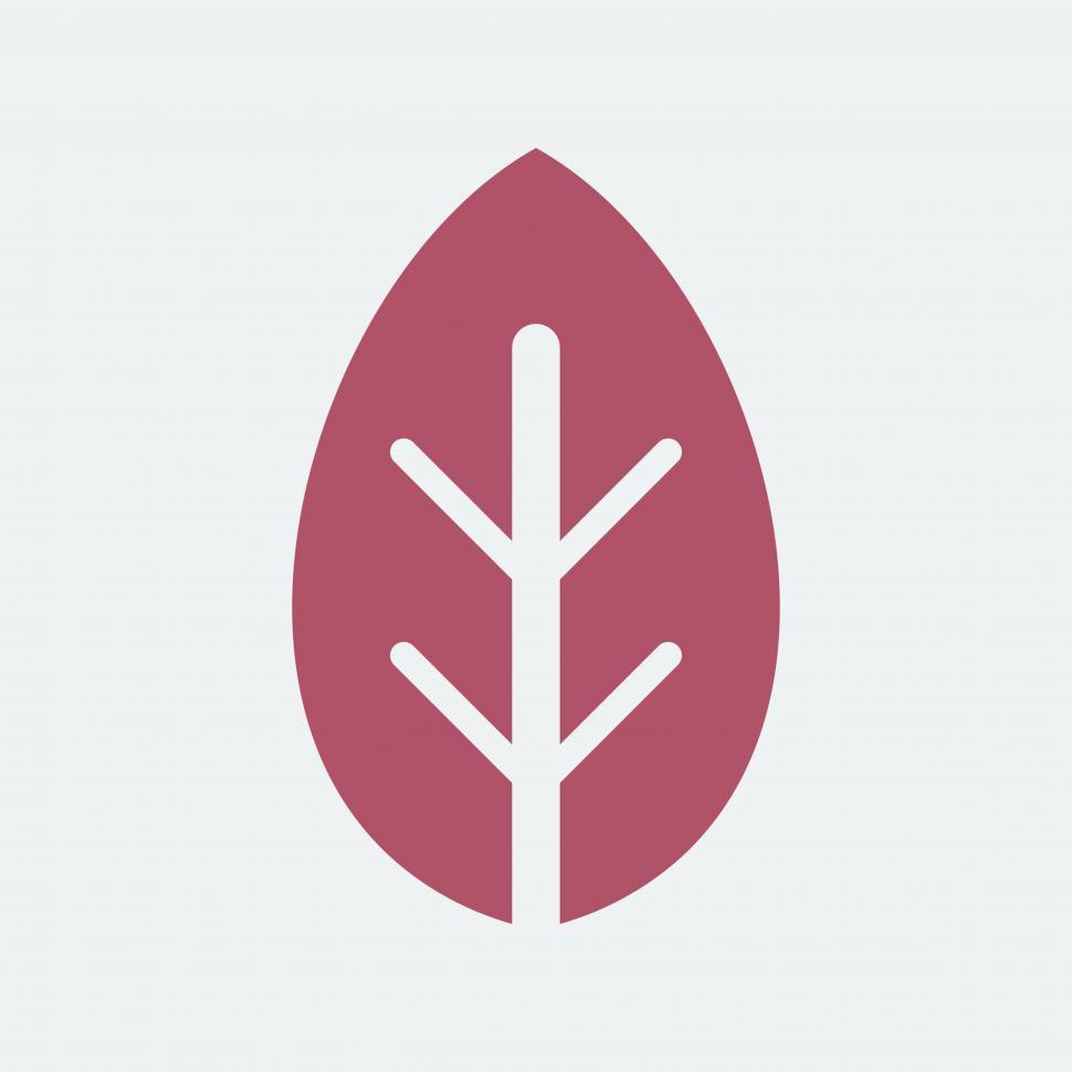 Free Image of Leaf vector icon 