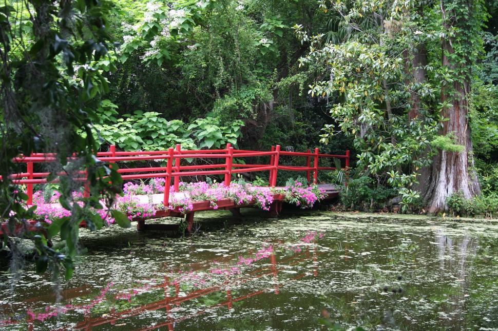 Free Image of Red Bridge Over Body of Water Surrounded by Trees 