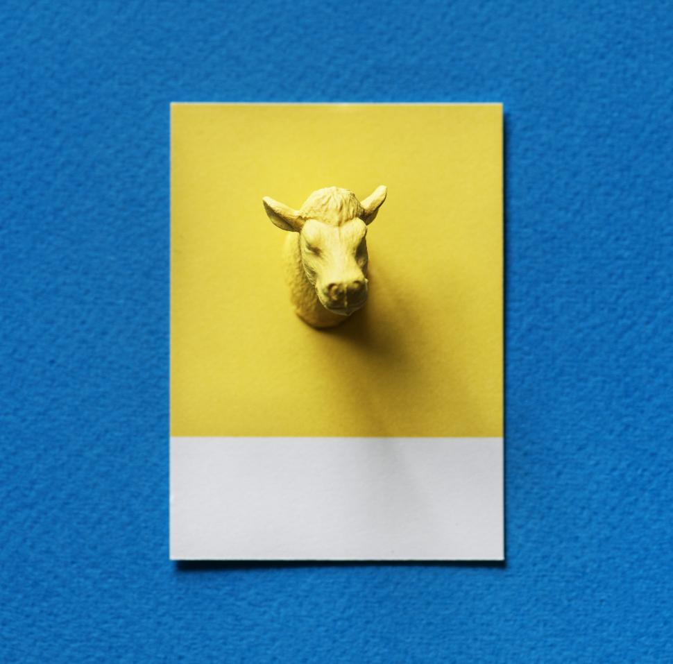 Free Image of Flay lay of a miniature toy bull s head on a spaced cardboard frame 