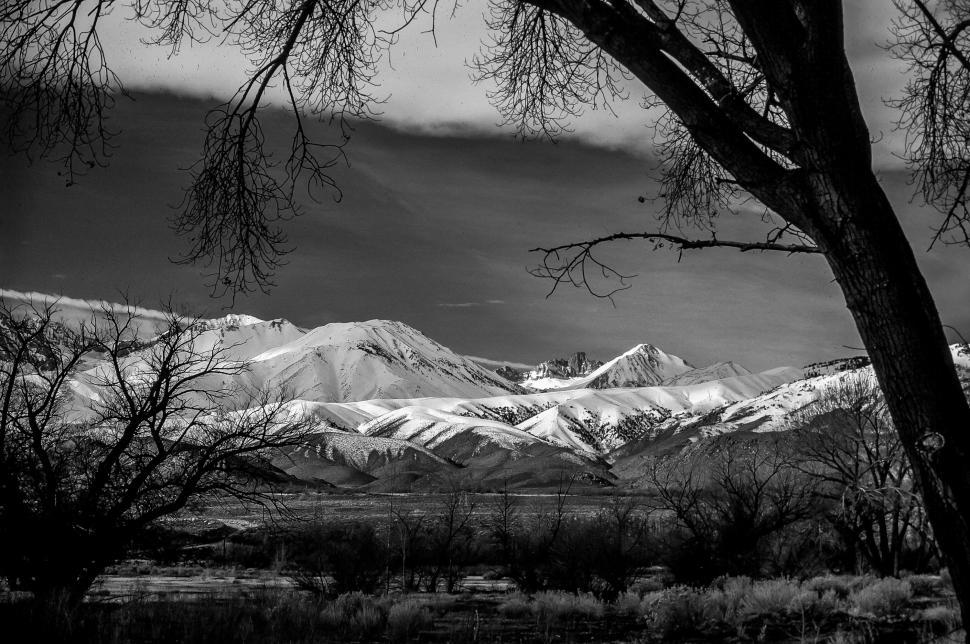 Free Image of Snow-capped mountains and grassland 