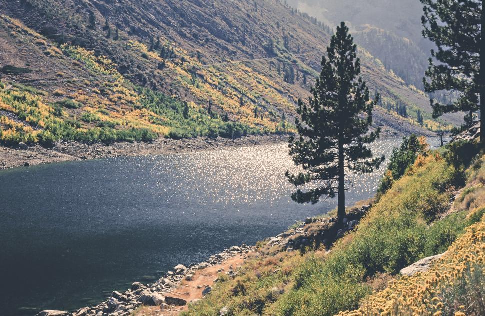 Free Image of River in Autumn 