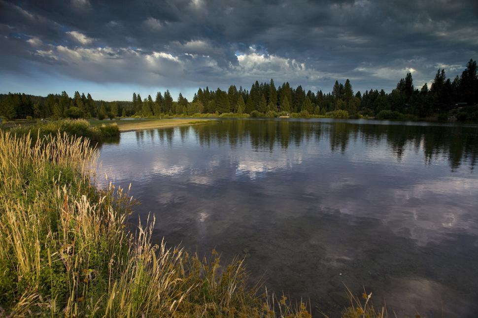 Grassy Shoreline Background