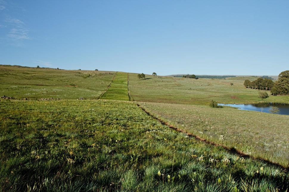 Free Image of Grassy Field With a Pond 