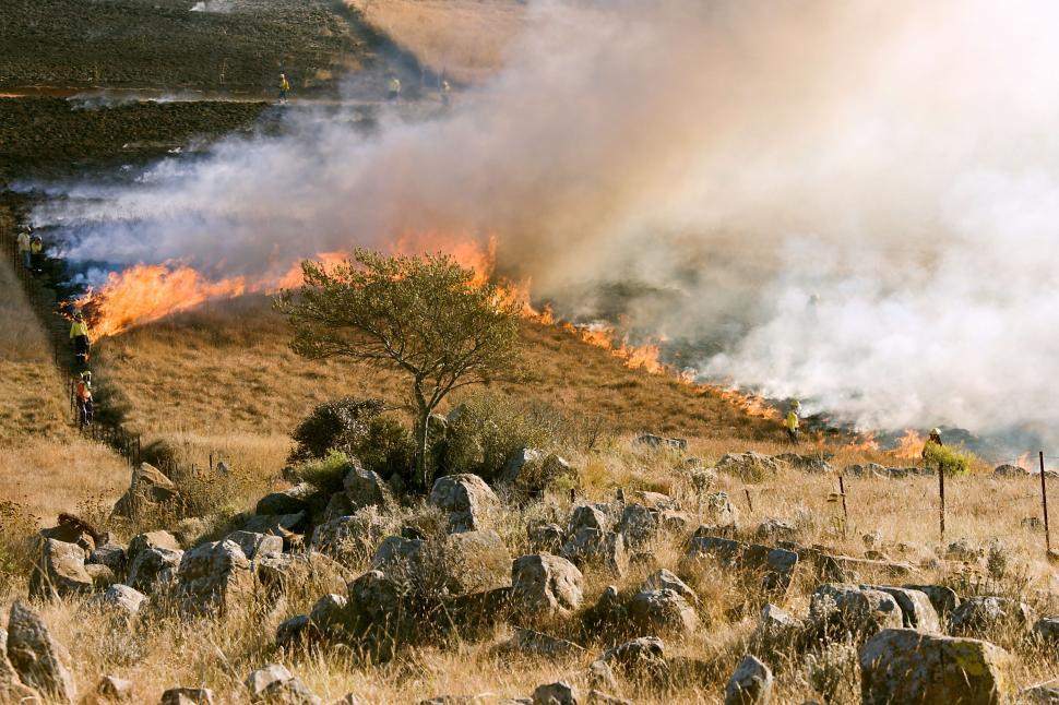 Free Image of Wildfire in Grassy Field Filled With Rocks 