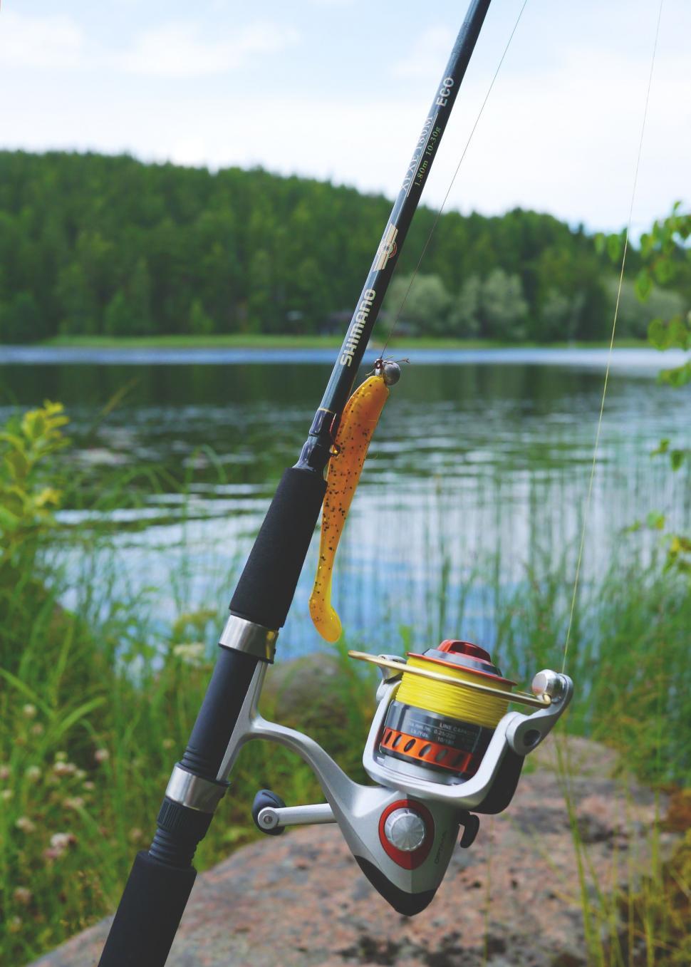 Free Stock Photo of Fishing Rod and Reel  Download Free Images and Free  Illustrations