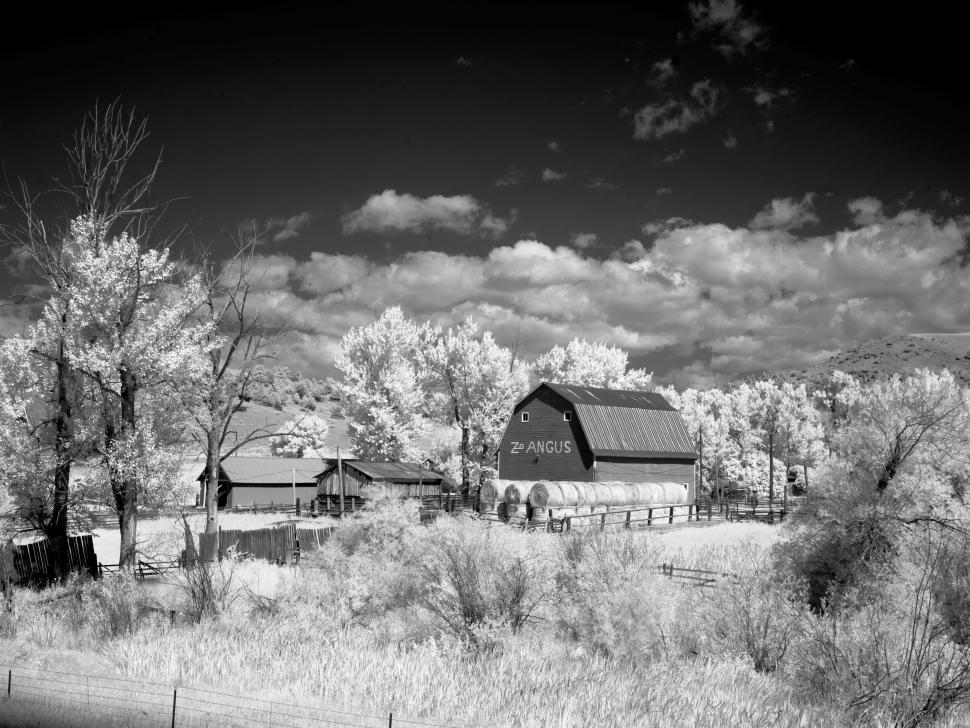 Free Stock Photo of Barn - B&W | Download Free Images and Free
