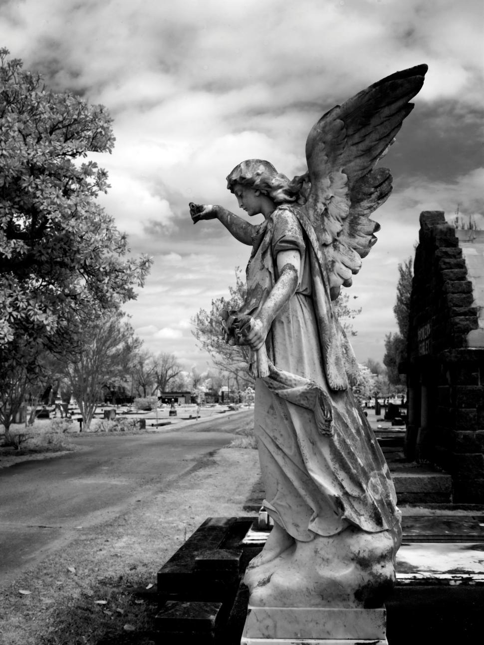 angel statue photography