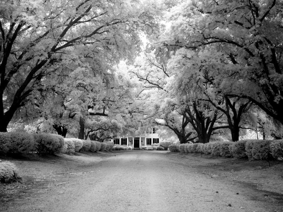 Free Image of Walkway to the manor house  