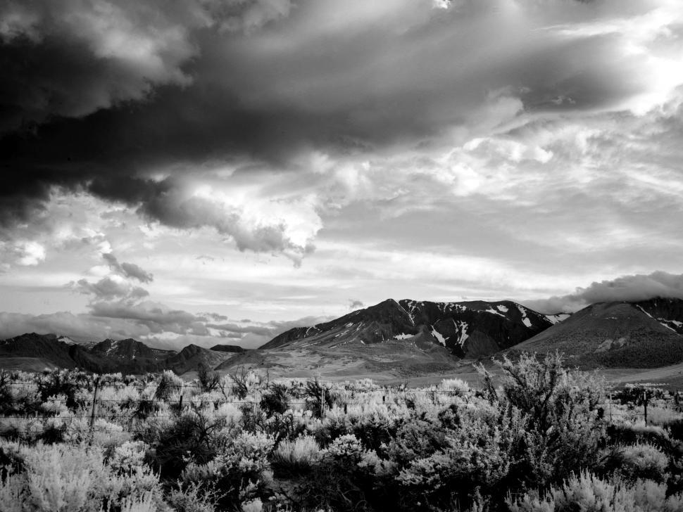 Free Stock Photo of Yosemite National Park - B&W | Download Free Images