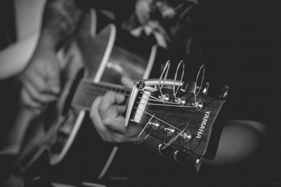 Free Image of Guitar Strings - B&W 