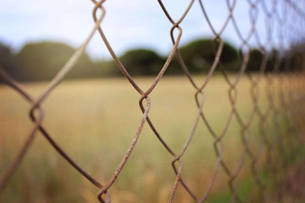 Free Stock Photo of Mesh Net | Download Free Images and Free Illustrations