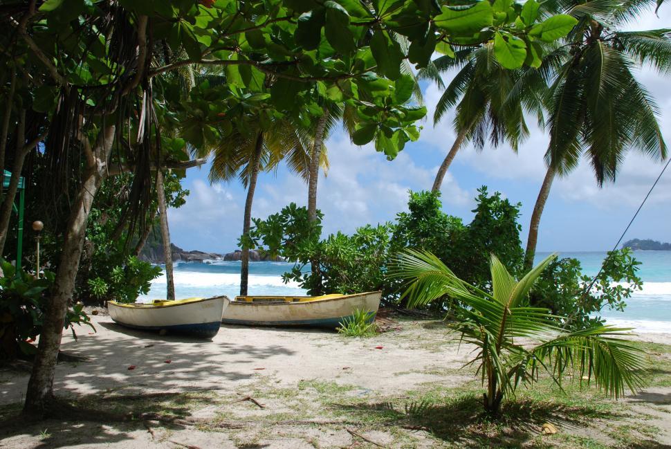 Free Image of Boats on tropical beach  