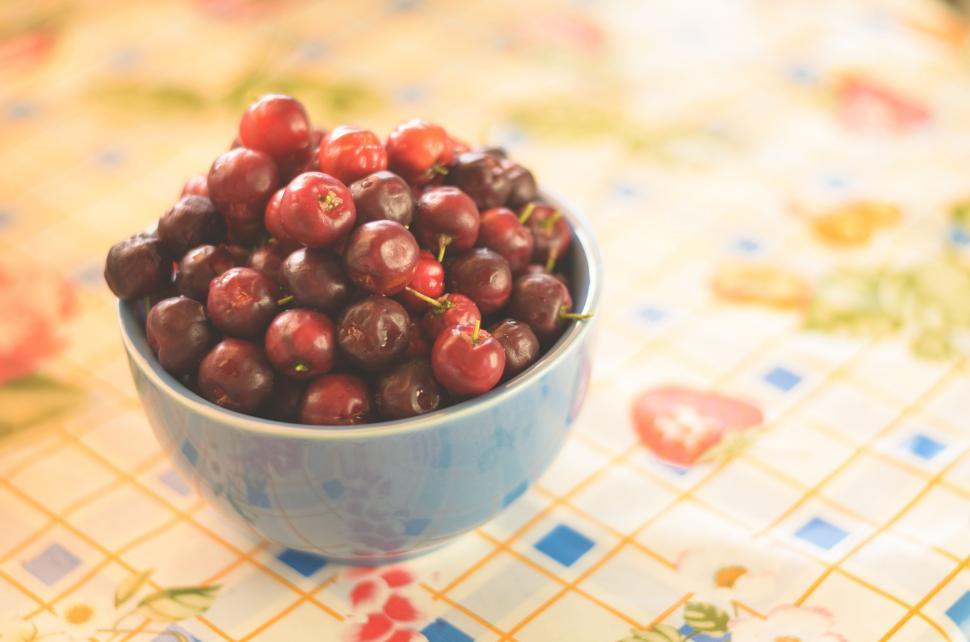 Free Image of Barbados Cherry 
