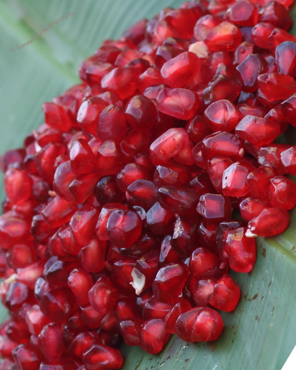 Free Image of Pomegranate seeds 