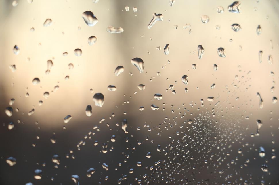 Free Image of Drops of Water  