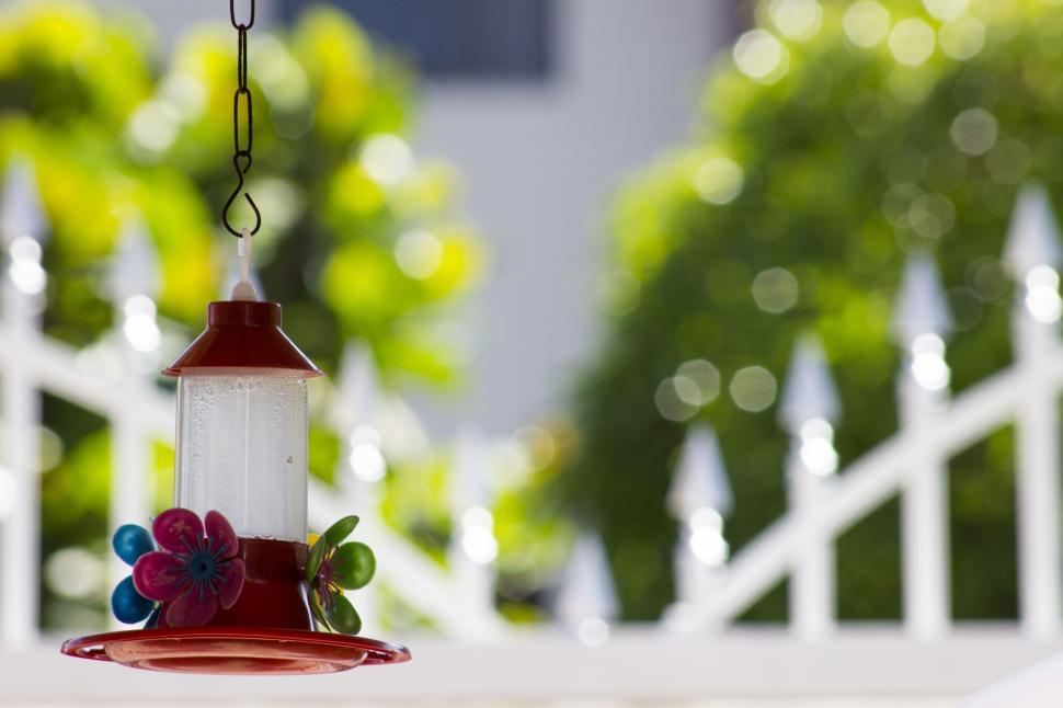 Free Image of Hummingbird Feeder - Hanging  
