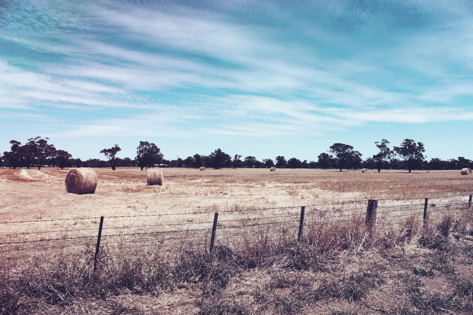 Free Stock Photo of Landscape view of Dry Grass with blue sky
