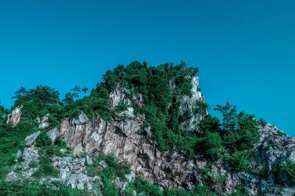Free Image of Trees on Mountain  