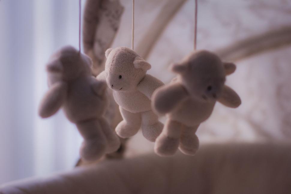 Free Image of Bear Toys For Baby  