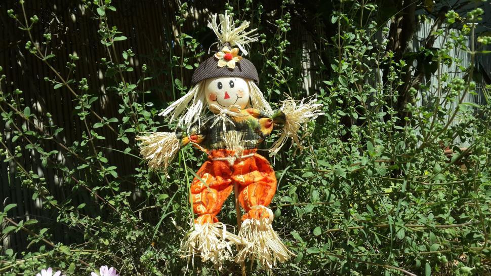 Free Stock Photo of Scarecrow Doll | Download Free Images and Free