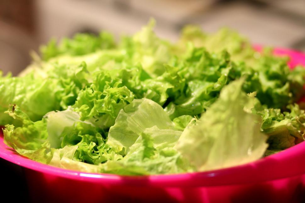 Bowl Of Salad On White Stock Photo - Download Image Now - Salad, Bowl,  Lettuce - iStock