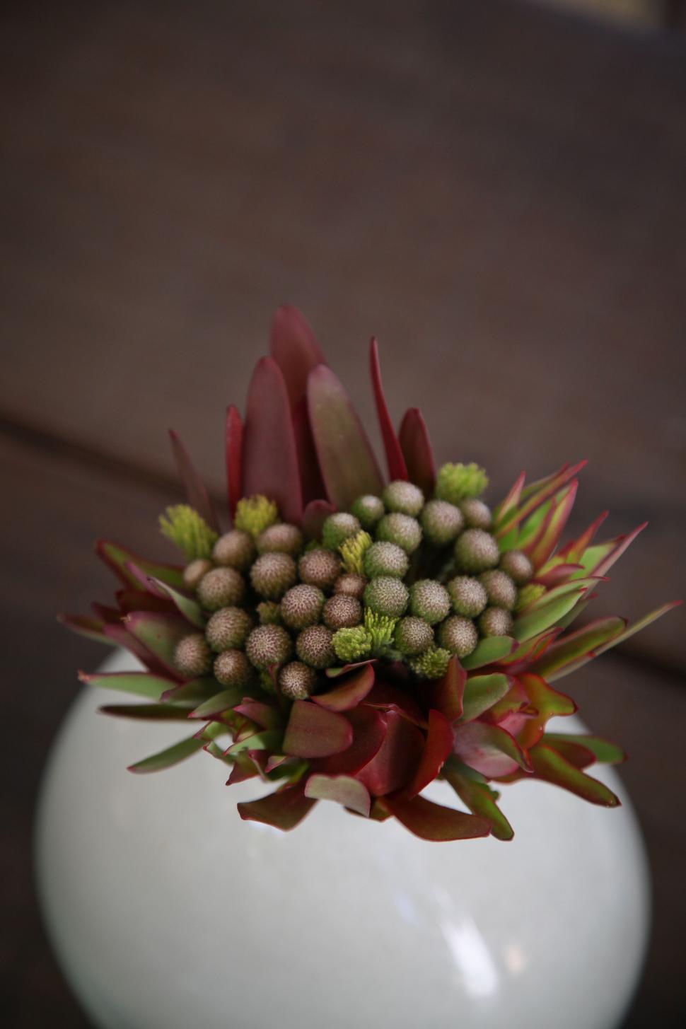 Free Image of Wedding Flowers  