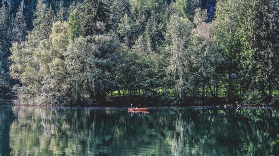 Free Stock Photo of Lake with reflection of trees | Download Free ...