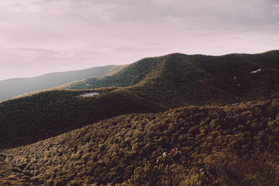 Free Image of Shrubs on Mountains  