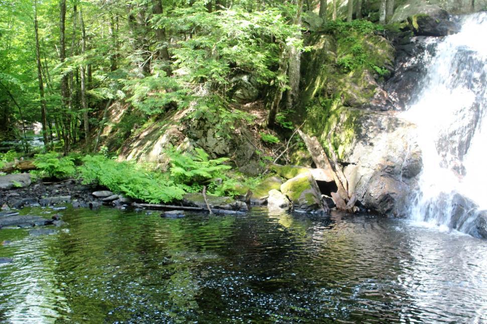 Free Image of Waterfall in Forest  
