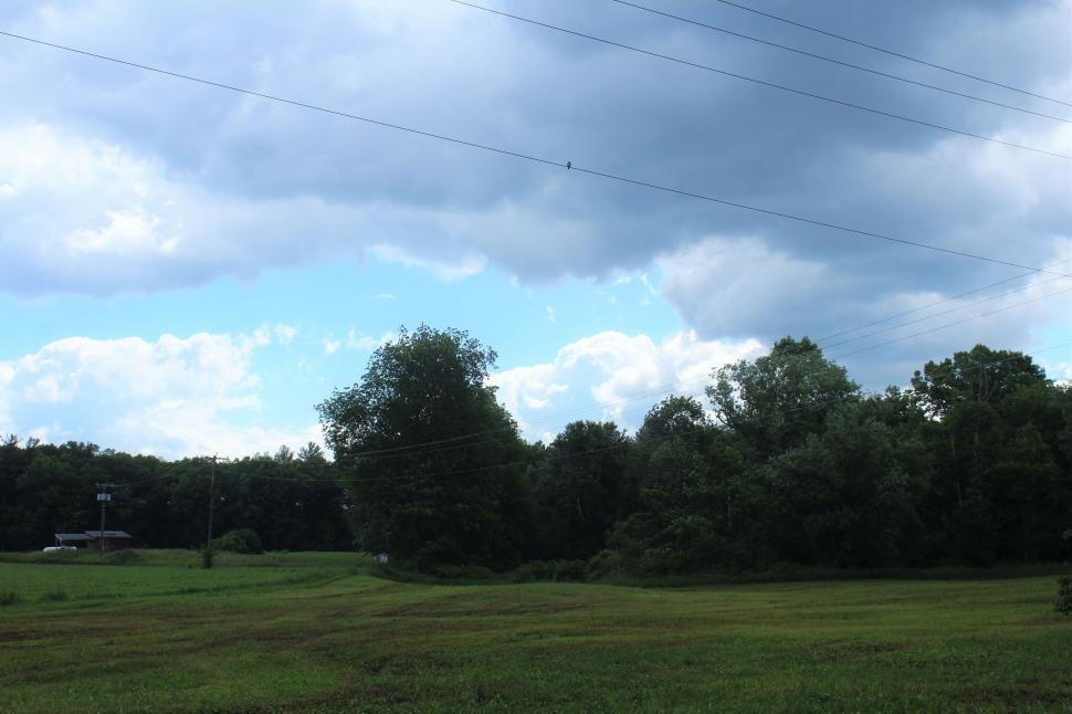 Free Image of Farmland with Trees  