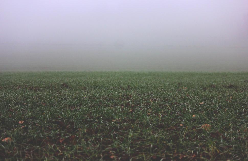 Free Image of Grassland  