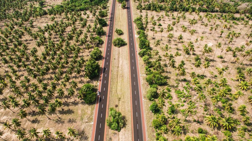 Free Image of Roads and Trees  