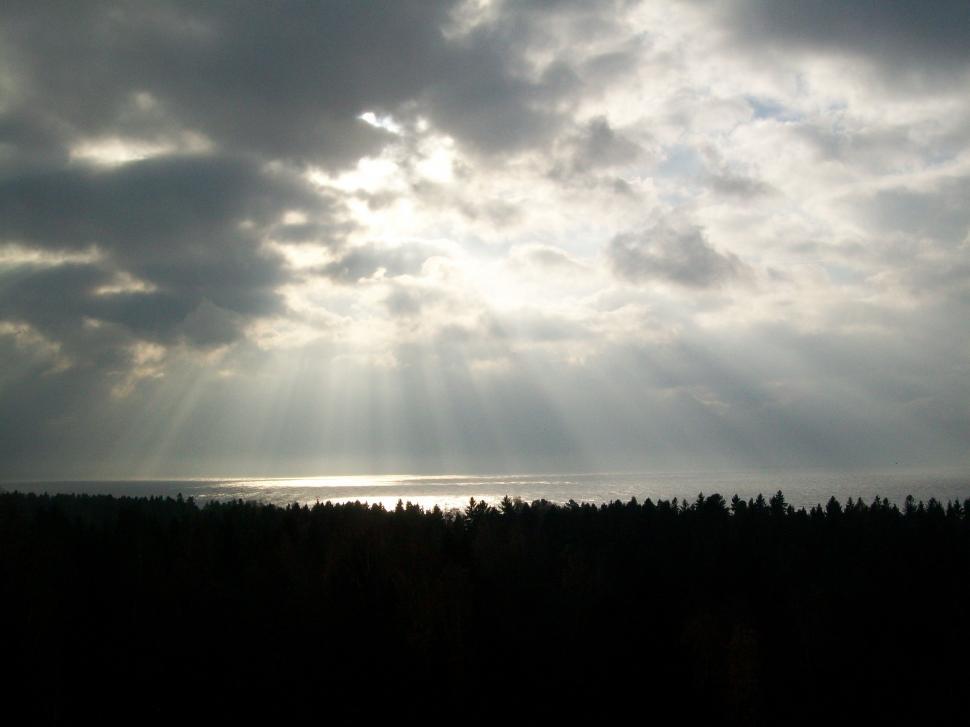 Free Image of Sun Beam With Trees Silhouette  